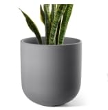 8 Inch Ceramic Plant Pot
