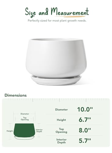 Ceramic Planter