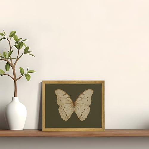 Wood Framed Butterfly Wall Art