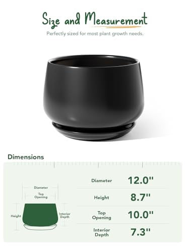 Ceramic Planter