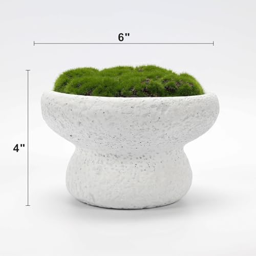 6'' Handmade Cement Bowl