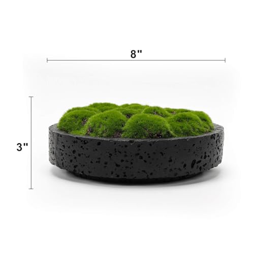 New Moss Bowl