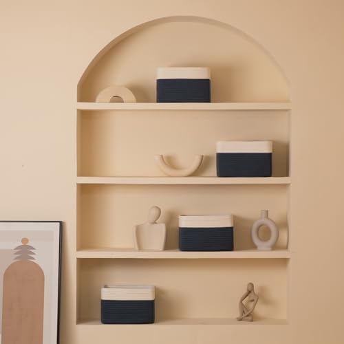 4 Pack Storage Baskets for Organizing (4 Count)