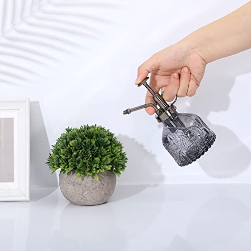 Glass Plant Mister Spray Bottle