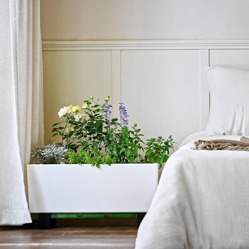 Self Watering Mini Bench Planter