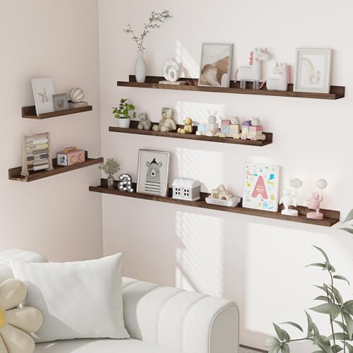 Picture Ledge Shelf (2 Count)