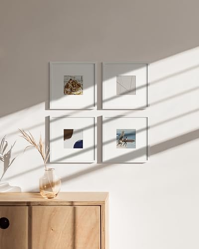 10x10 White Metal Picture Frames Matted to 5x5