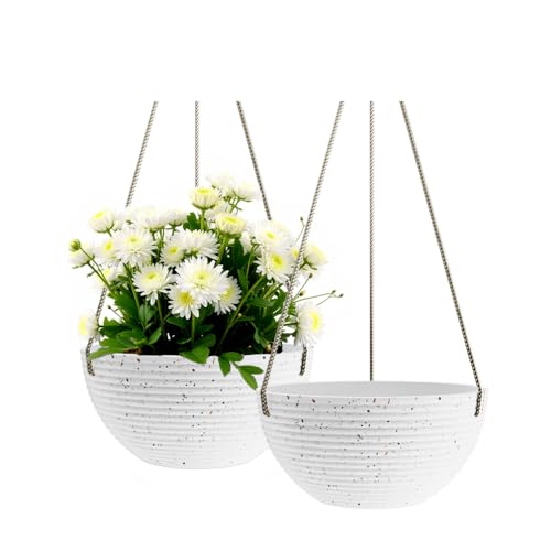 2 Pack Hanging Planter (2 Count)