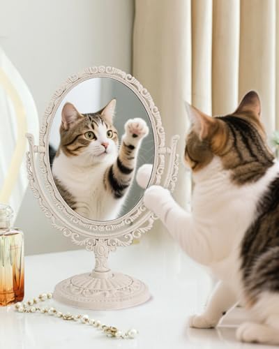 Vintage Vanity Mirror Shabby Chic Decor