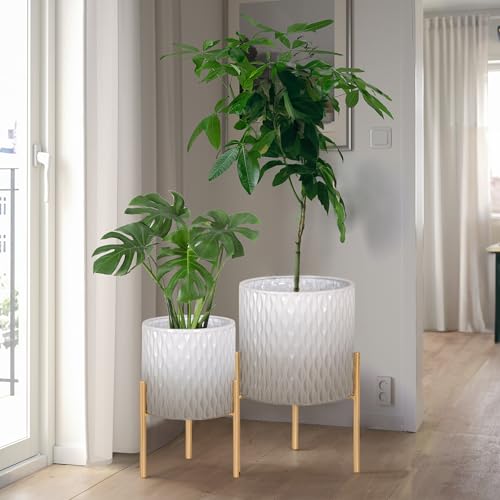 Plants Pots with Stand (2 Count)
