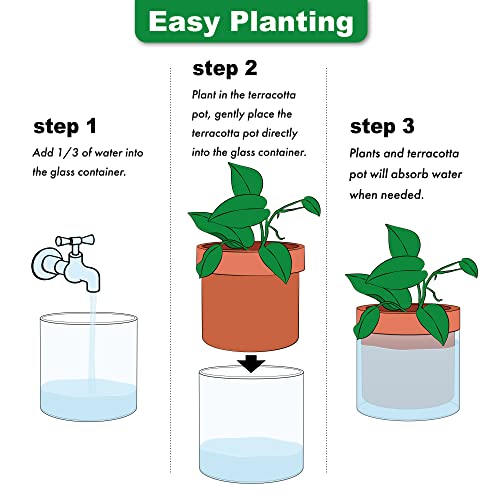 6 Inch Self Watering Planter Pot