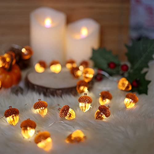 Thanksgiving Acorn Lights Fall Garland Decorative Fairy String Light Cute Novelty Lights 30 LEDs 10 ft USB or Battery Operated for Bedroom Wedding Xmas Harvest Decor (10 Foot)