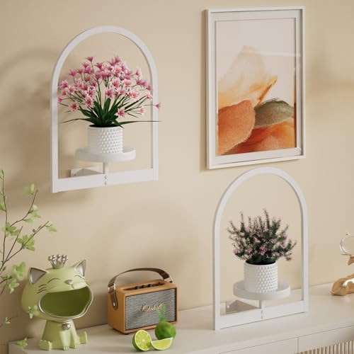 Wall Plant Holder (3 Count)
