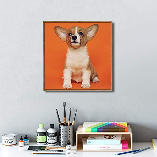 Custom Framed Canvas Prints with Your Photo for Pets