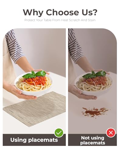 Light Brown Placemats Set of 4 (4 Count)