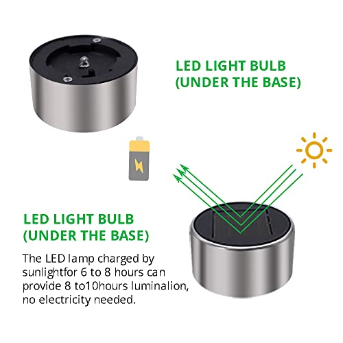 Solar Lights Outdoor Waterproof (12 Count)