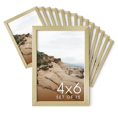 4x6 Gold Metal Picture Frames