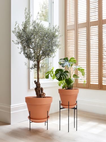 Terracotta Pot with Saucer 10&12 Inch (2 Count)