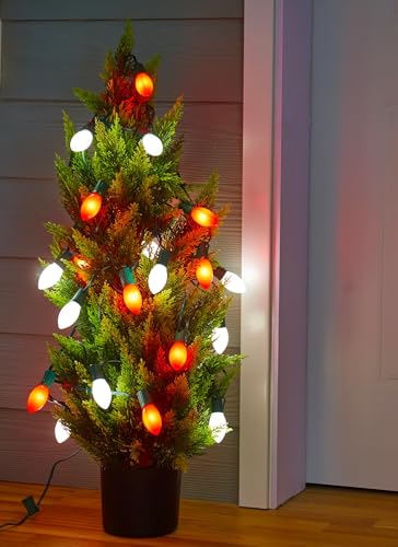 100Ft Christmas Lights Outdoor (100 Count)