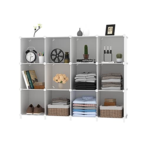 12 Cube Storage Organizer