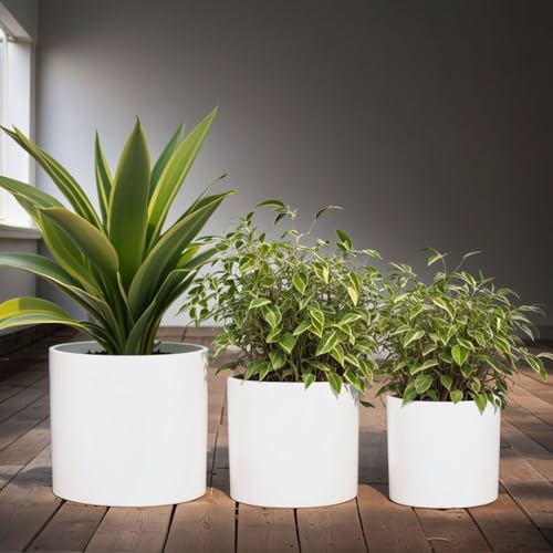 Large Planter for Indoor or Outdoor (3 Count)