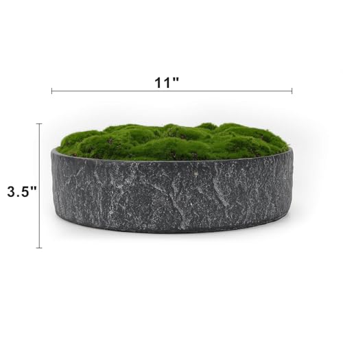 New Moss Bowl