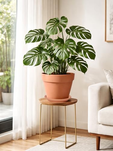 Terracotta Pot with Saucer