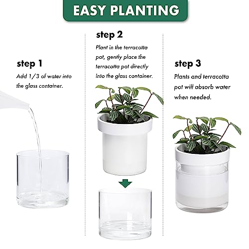 6 Inch 4 Inch Self Watering Planter