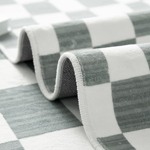 2x5 Runner Rug Modern Checkered Geometric Lattice Hallway Rug (10 Sq Ft)