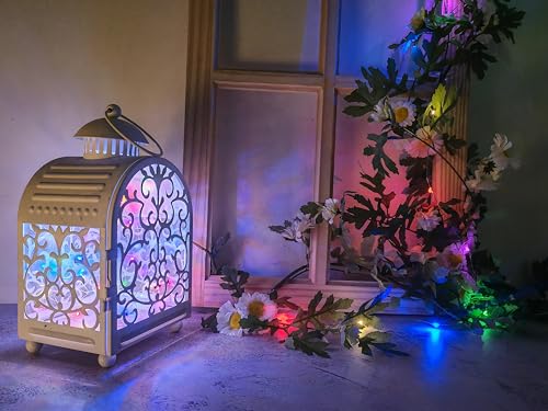 6 Pack Fairy Lights Battery Operated (6 Count)