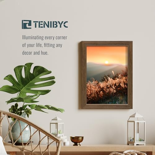 12x16 Picture Frame 3 Pack (3 Count)