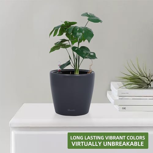 9x8 Self Watering Planter