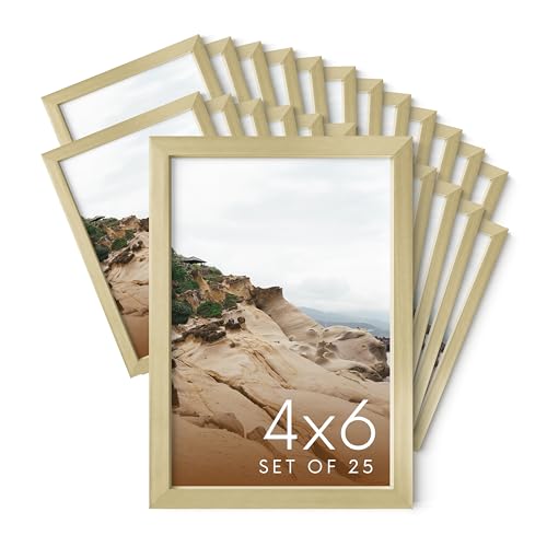 4x6 Gold Metal Picture Frames