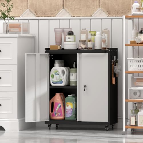 Locking Storage Cabinet