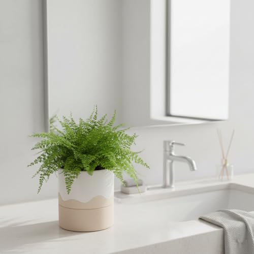 Ceramic Self Watering Plant Pot for Indoor Plants