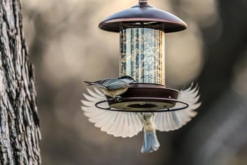 Metal Roof Bird Feeder