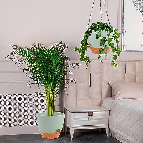 12 Inch Self Watering Hanging Planter