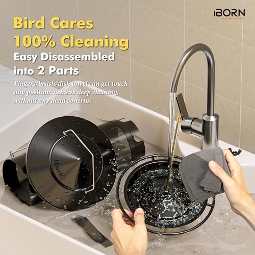 Bird Feeders for Outdoors