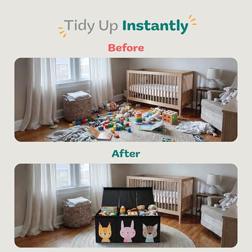 Extra Large Toy Storage Organizer with Lid