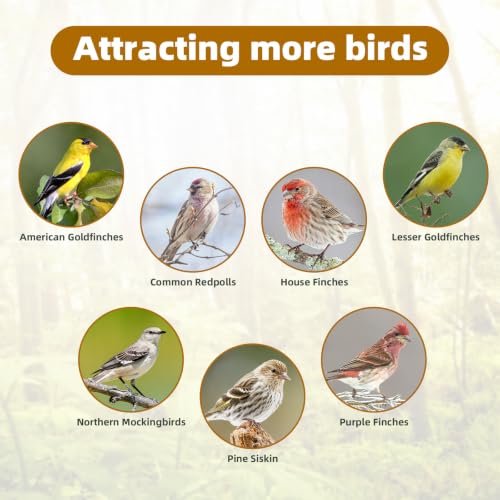 Nyjer Thistle Seeds Wild Bird Feeder 2 Pack