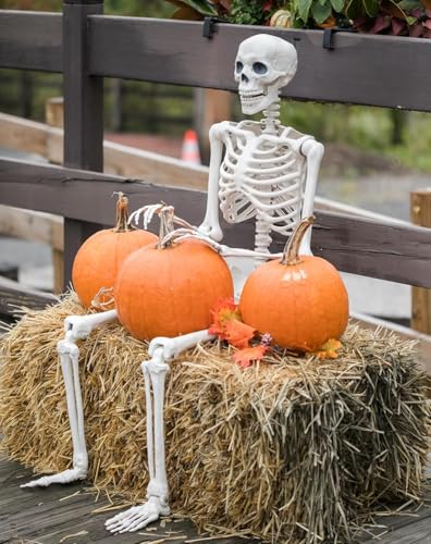 4 Pack 36" Halloween Skeleton