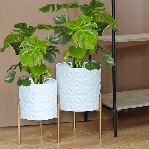 Plant Pots with Stand (2 Count)