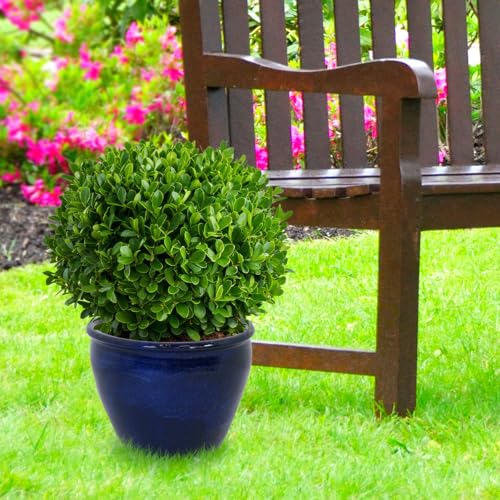 Sunnydaze Chalet 14.5" Ceramic Plant Pot