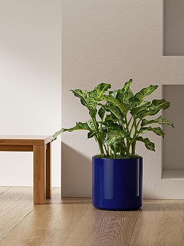 12 Inch Pot for Plants