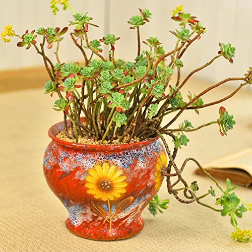 9 Inch Hand Painted Ceramic Succulent Plant Pots