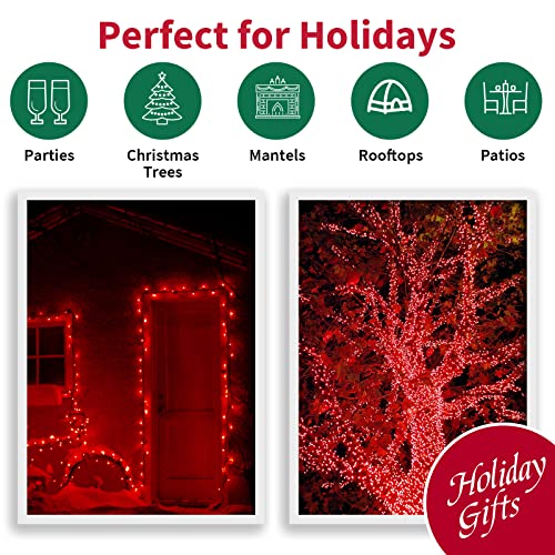 Red Valentines Day Decor Lights Green Wire (100 Count)