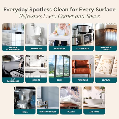 All Purpose Cleaner Clean Can (14.4 Fl Oz)