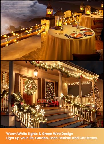 LED Christmas Mini Lights