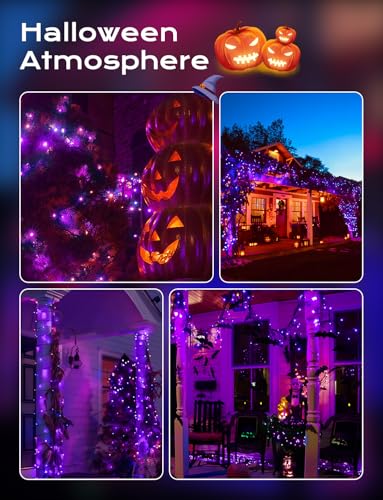Purple Solar Operated C6 Halloween Outdoor Lights