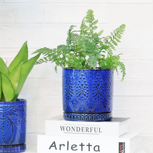 8 Inch + 6 Inch Indoor Plant Pot with Drainage Holes and Saucers (2 Count)